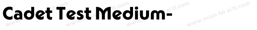 Cadet Test Medium字体转换